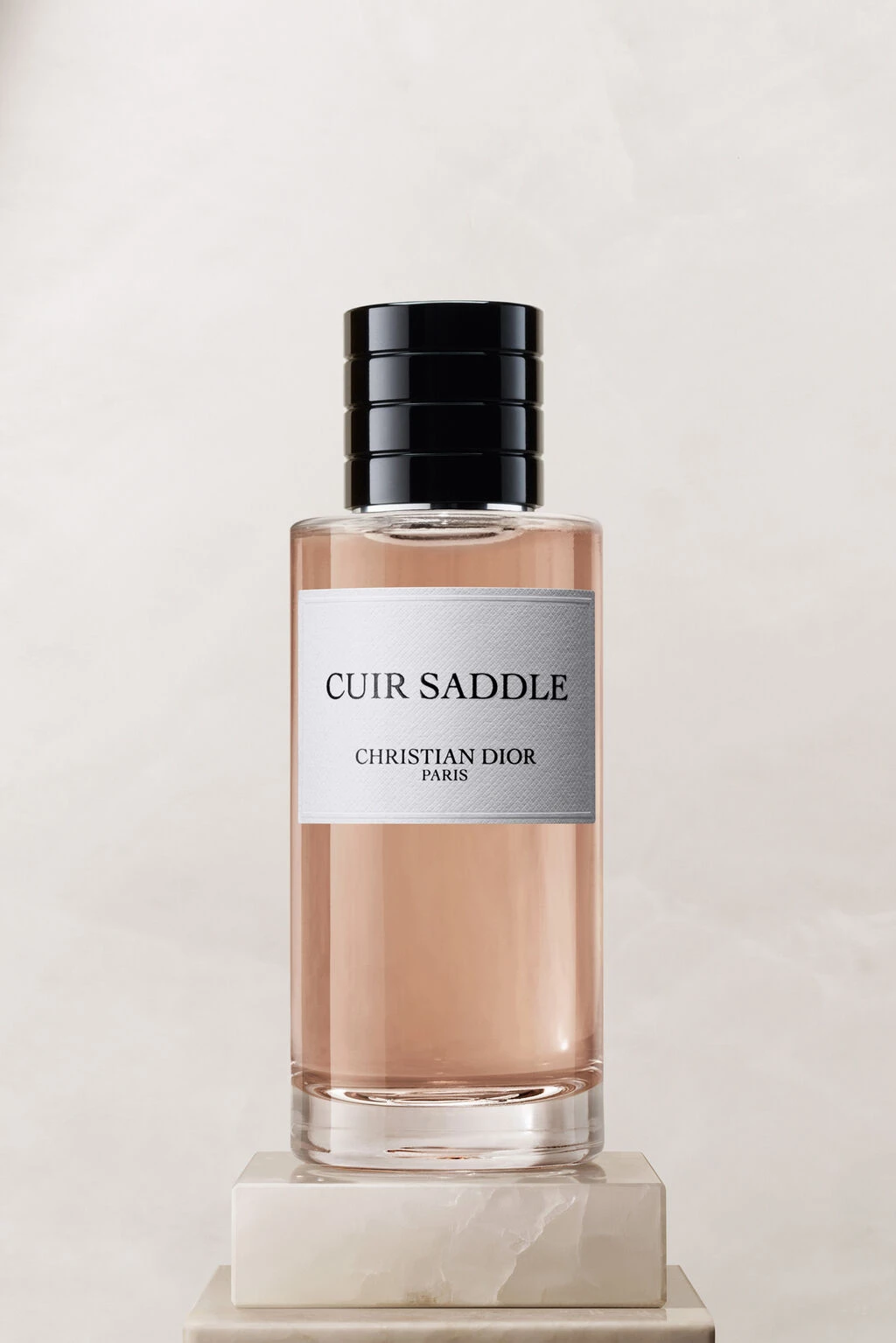 Dior - Cuır Saddle