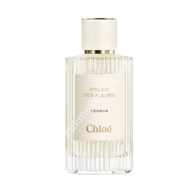 Chloé Atelier des Fleurs Cedrus